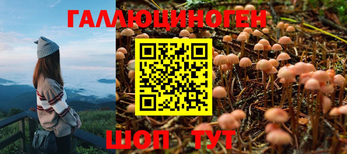 Галлюциногенные грибы Magic Shrooms  Вход с VPN  Тулун 
